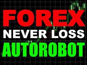 Forex never loss.jpg